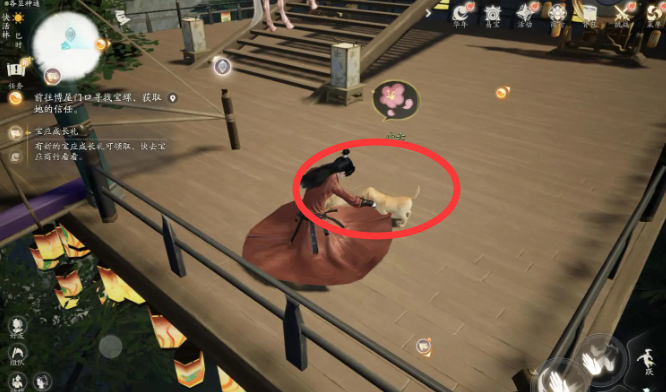 射雕小动物位置一览