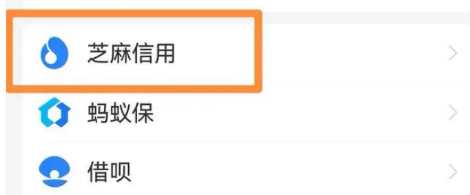 支付宝怎么申请芝麻签证报告